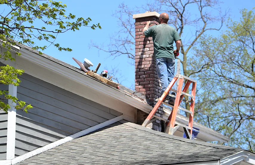Chimney & Fireplace Inspections Services in Brookside, DE